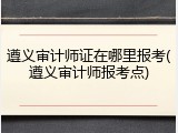 遵义审计师证在哪里报考(遵义审计师报考点)