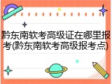 黔东南软考高级证在哪里报考(黔东南软考高级报考点)