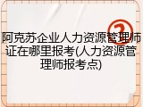 阿克苏企业人力资源管理师证在哪里报考(人力资源管理师报考点)