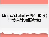 毕节审计师证在哪里报考(毕节审计师报考点)