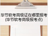 毕节软考高级证在哪里报考(毕节软考高级报考点)