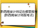 黔西南审计师证在哪里报考(黔西南审计师报考点)