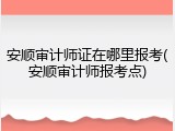 安顺审计师证在哪里报考(安顺审计师报考点)