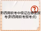 黔西南软考中级证在哪里报考(黔西南软考报考点)
