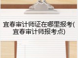 宜春审计师证在哪里报考(宜春审计师报考点)