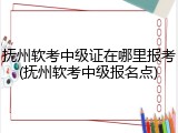 抚州软考中级证在哪里报考(抚州软考中级报名点)