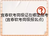 宜春软考高级证在哪里报考(宜春软考高级报名点)