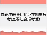 宜春注册会计师证在哪里报考(宜春注会报考点)
