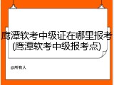 鹰潭软考中级证在哪里报考(鹰潭软考中级报考点)
