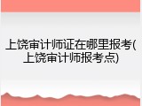 上饶审计师证在哪里报考(上饶审计师报考点)