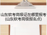 山东软考高级证在哪里报考(山东软考高级报名点)