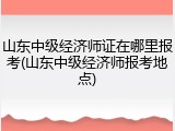 山东中级经济师证在哪里报考(山东中级经济师报考地点)