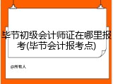 毕节初级会计师证在哪里报考(毕节会计报考点)
