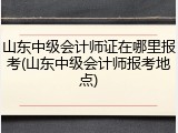 山东中级会计师证在哪里报考(山东中级会计师报考地点)