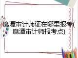 鹰潭审计师证在哪里报考(鹰潭审计师报考点)
