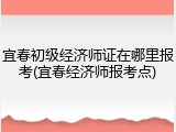 宜春初级经济师证在哪里报考(宜春经济师报考点)