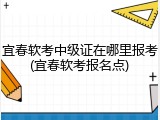 宜春软考中级证在哪里报考(宜春软考报名点)