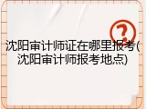 沈阳审计师证在哪里报考(沈阳审计师报考地点)