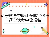 辽宁软考中级证在哪里报考(辽宁软考中级报名)