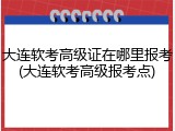 大连软考高级证在哪里报考(大连软考高级报考点)