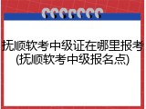 抚顺软考中级证在哪里报考(抚顺软考中级报名点)
