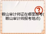 鞍山审计师证在哪里报考(鞍山审计师报考地点)