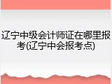 辽宁中级会计师证在哪里报考(辽宁中会报考点)