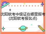 沈阳软考中级证在哪里报考(沈阳软考报名点)