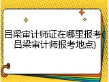 吕梁审计师证在哪里报考(吕梁审计师报考地点)