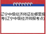 辽宁中级经济师证在哪里报考(辽宁中级经济师报考点)