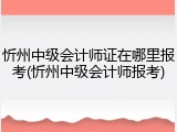 忻州中级会计师证在哪里报考(忻州中级会计师报考)