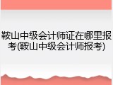 鞍山中级会计师证在哪里报考(鞍山中级会计师报考)