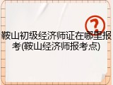 鞍山初级经济师证在哪里报考(鞍山经济师报考点)