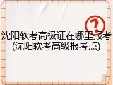 沈阳软考高级证在哪里报考(沈阳软考高级报考点)