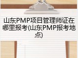 山东PMP项目管理师证在哪里报考(山东PMP报考地点)