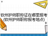 钦州护师职称证在哪里报考(钦州护师职称报考地点)