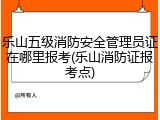 乐山五级消防安全管理员证在哪里报考(乐山消防证报考点)