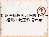梧州护师职称证在哪里报考(梧州护师职称报考点)