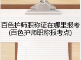 百色护师职称证在哪里报考(百色护师职称报考点)
