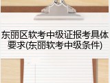 东丽区软考中级证报考具体要求(东丽软考中级条件)