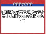 东丽区软考高级证报考具体要求(东丽软考高级报考条件)