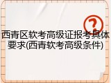 西青区软考高级证报考具体要求(西青软考高级条件)