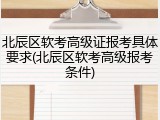 北辰区软考高级证报考具体要求(北辰区软考高级报考条件)