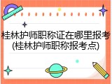 桂林护师职称证在哪里报考(桂林护师职称报考点)