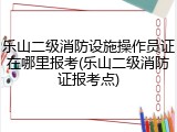 乐山二级消防设施操作员证在哪里报考(乐山二级消防证报考点)