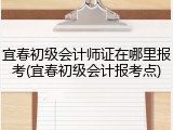 宜春初级会计师证在哪里报考(宜春初级会计报考点)