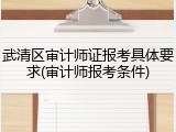 武清区审计师证报考具体要求(审计师报考条件)