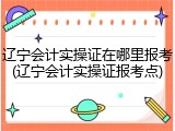 辽宁会计实操证在哪里报考(辽宁会计实操证报考点)