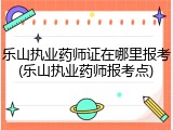乐山执业药师证在哪里报考(乐山执业药师报考点)