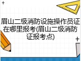 眉山二级消防设施操作员证在哪里报考(眉山二级消防证报考点)